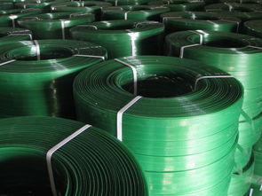 新料環保pet塑鋼帶