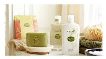 探索Soasto化妝品 產(chǎn)品視覺(jué)與店鋪裝修的藝術(shù)